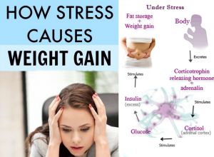 How Stress Causes Weight Gain