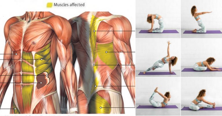 Core Exercises For A Stronger Core And Better Posture Sixpack Facts