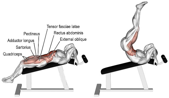 Lying Leg Raises – Sixpack Facts